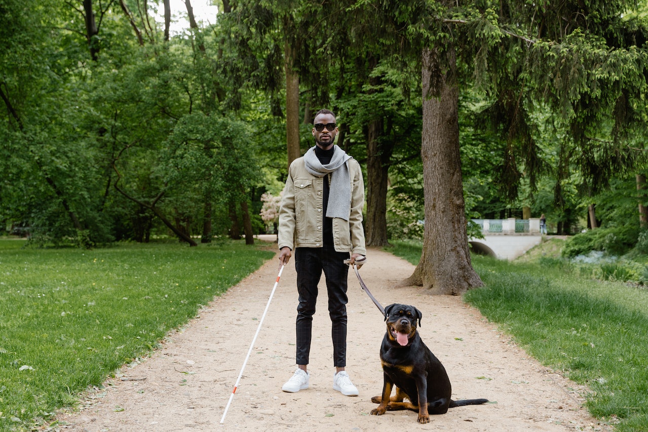 A blind man with a white cane and a guidance dog