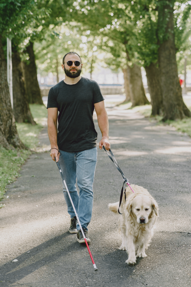 A blind person walking with a cane and a guiding dog